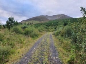 Start of the Nephin climb from the car park